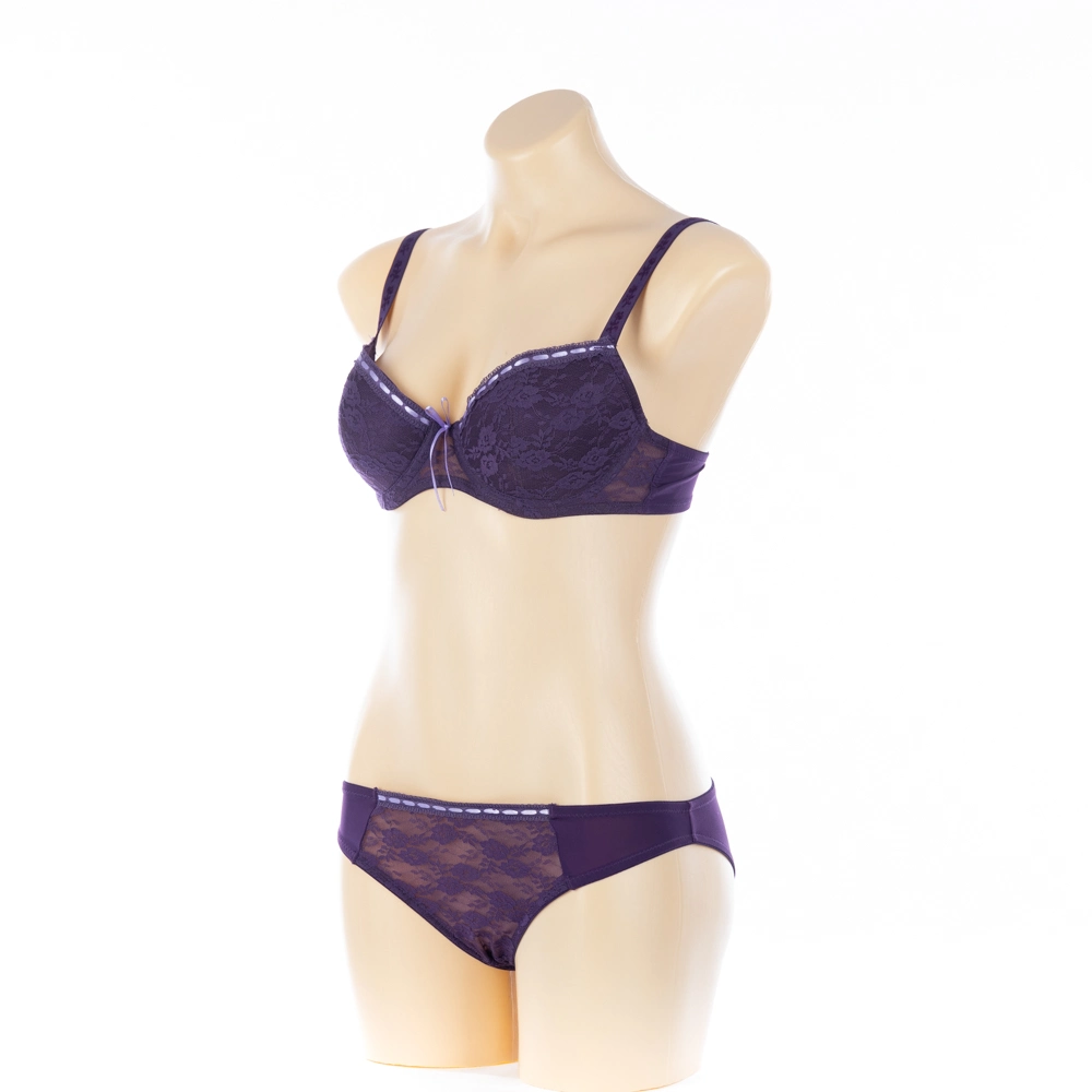 High Quality OEM Lady Bra and Panty Set Women Lingerie (JMC25045)